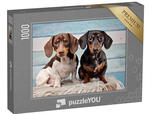 puzzleYOU: Puzzle 1000 Teile „Porträt von Zwei Dackeln“ – aus der Puzzle-Kollektion Hunde, Dackel von puzzleYOU