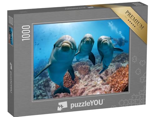 puzzleYOU: Puzzle 1000 Teile „Portraitaufnahme: Delfin“ – aus der Puzzle-Kollektion Delfine, Fische & Wassertiere, Exotische Tiere & Trend-Tiere von puzzleYOU