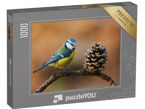 puzzleYOU: Puzzle 1000 Teile „Schöne Blaumeise, Cyanistes caeruleus, im Herbst auf einem kleinen Zweig“ – aus der Puzzle-Kollektion Vögel puzzleYOU: Puzzle 1000 Teile „Schöne Blaumeise, Cyanistes caeruleus, im Herbst auf einem kleinen Zweig“ – aus der Puzzle-Kollektion Vögel von puzzleYOU