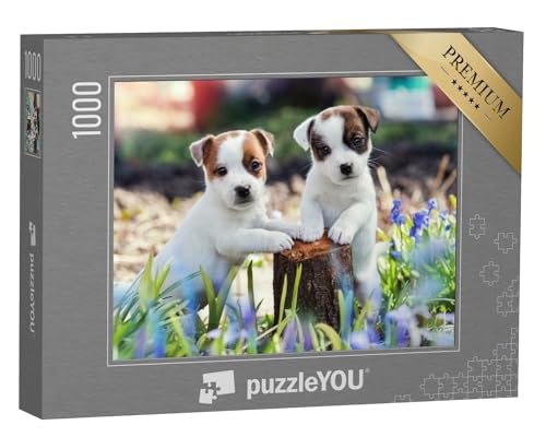 puzzleYOU: Puzzle 1000 Teile „Zwei süße Jack Russel Welpen“ von puzzleYOU