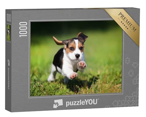 puzzleYOU: Puzzle 1000 Teile „glücklicher Beagle-Welpe, der im Gras läuft“ – aus der Puzzle-Kollektion Hunde, Beagle von puzzleYOU