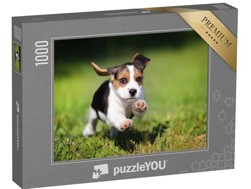 puzzleYOU: Puzzle 1000 Teile „glücklicher Beagle-Welpe, der im Gras läuft“ – aus der Puzzle-Kollektion Hunde, Beagle von puzzleYOU