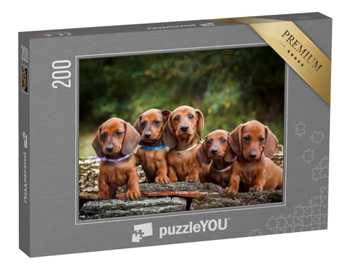 puzzleYOU: Puzzle 200 Teile „Dackelwelpen sind niedliche Tiere“ – aus der Puzzle-Kollektion Dackel von puzzleYOU