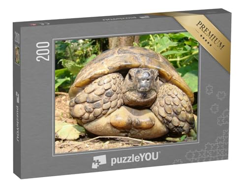 puzzleYOU: Puzzle 200 Teile „Detaillierte Nahaufnahme Einer Schildkröte“ – aus der Puzzle-Kollektion Meeresschildkröten, Fische & Wassertiere von puzzleYOU