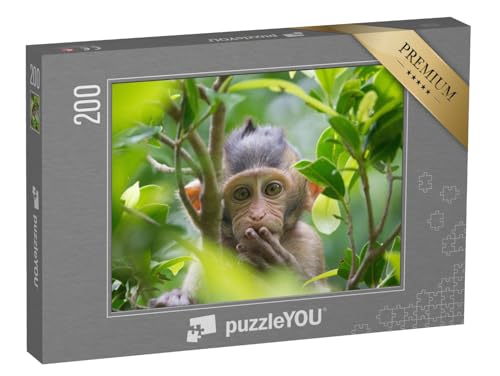 puzzleYOU: Puzzle 200 Teile „EIN niedlicher AFFE lebt in einem natürlichen Wald in Thailand.“ – aus der Puzzle-Kollektion Affen, Tiere in Dschungel & Regenwald von puzzleYOU