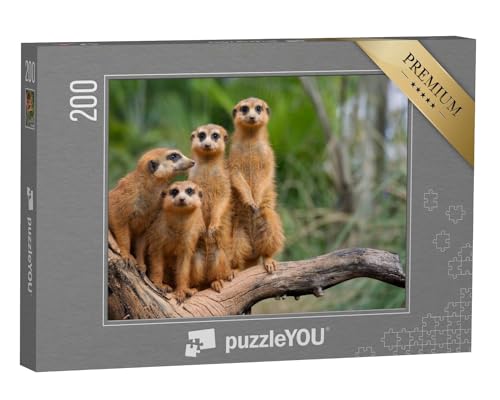 puzzleYOU: Puzzle 200 Teile „Familie der Erdmännchen“ – aus der Puzzle-Kollektion Erdmännchen, Tiere in Savanne & Wüste, Exotische Tiere & Trend-Tiere von puzzleYOU