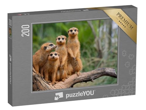 puzzleYOU: Puzzle 200 Teile „Familie der Erdmännchen“ – aus der Puzzle-Kollektion Erdmännchen, Tiere in Savanne & Wüste, Exotische Tiere & Trend-Tiere von puzzleYOU