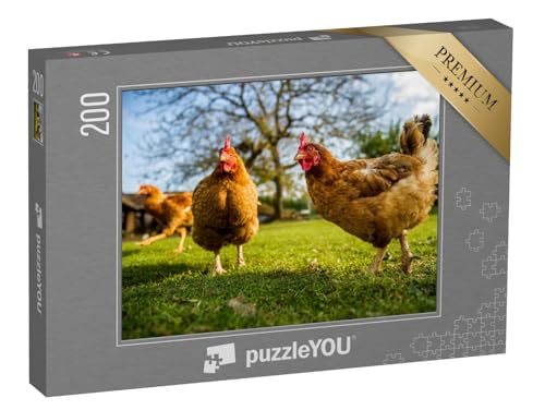 puzzleYOU: Puzzle 200 Teile „Freilandhühner auf einem traditionellen Geflügelhof“ – aus der Puzzle-Kollektion Hühner & Küken, Bauernhof-Tiere von puzzleYOU