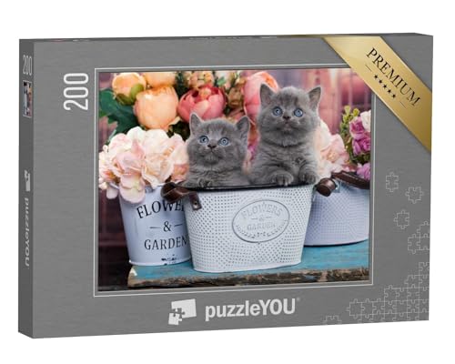 puzzleYOU: Puzzle 200 Teile „Kätzchen im Blumentopf“ – aus der Puzzle-Kollektion Katzen-Puzzles von puzzleYOU