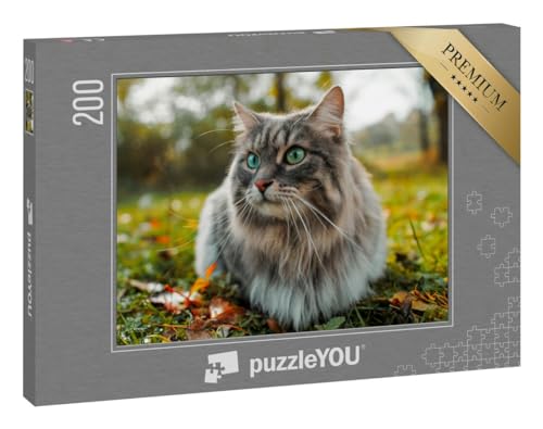 puzzleYOU: Puzzle 200 Teile „Katze mit flauschigem grauen Fell“ von puzzleYOU