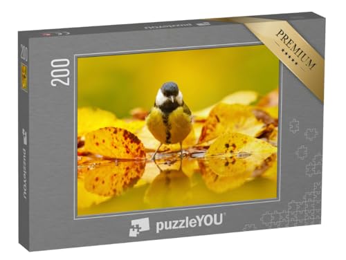 puzzleYOU: Puzzle 200 Teile „Kleine Kohlmeise im Herbstlaub“ – aus der Puzzle-Kollektion Vögel, Singvögel puzzleYOU: Puzzle 200 Teile „Kleine Kohlmeise im Herbstlaub“ – aus der Puzzle-Kollektion Vögel, Singvögel von puzzleYOU