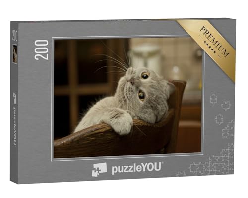 puzzleYOU: Puzzle 200 Teile „Kleine verspielte Katze“ – aus der Puzzle-Kollektion Katzen-Puzzles von puzzleYOU