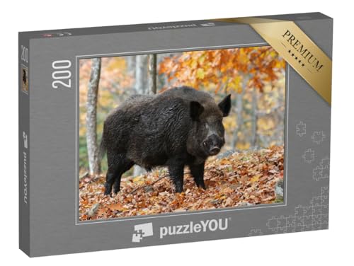 puzzleYOU: Puzzle 200 Teile „Männliches Wildschwein im Herbstwald, Keiler im Laub“ – aus der Puzzle-Kollektion Wildschweine, Tiere in Wald & Gebirge puzzleYOU: Puzzle 200 Teile „Männliches Wildschwein im Herbstwald, Keiler im Laub“ – aus der Puzzle-Kollektion Wildschweine, Tiere in Wald & Gebirge von puzzleYOU