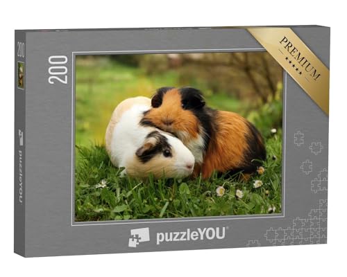 puzzleYOU: Puzzle 200 Teile „Meerschweinchenfreunde“ – aus der Puzzle-Kollektion Meerschweinchen von puzzleYOU