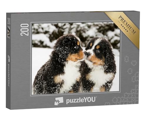 puzzleYOU: Puzzle 200 Teile „Mit Schnee bestäubte Berner Sennenhund-Welpen“ – aus der Puzzle-Kollektion Berner Sennenhund von puzzleYOU