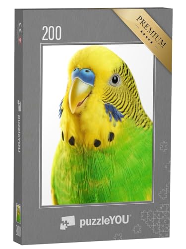 puzzleYOU: Puzzle 200 Teile „Nahaufnahme: gelbgrüner Wellensittich isoliert auf weißem Hintergrund“ – aus der Puzzle-Kollektion Vögel, Wellensittiche von puzzleYOU