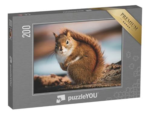 puzzleYOU: Puzzle 200 Teile „Schönes kleines Eichhörnchen im Wald“ – aus der Puzzle-Kollektion Eichhörnchen, Tiere in Wald & Gebirge puzzleYOU: Puzzle 200 Teile „Schönes kleines Eichhörnchen im Wald“ – aus der Puzzle-Kollektion Eichhörnchen, Tiere in Wald & Gebirge von puzzleYOU