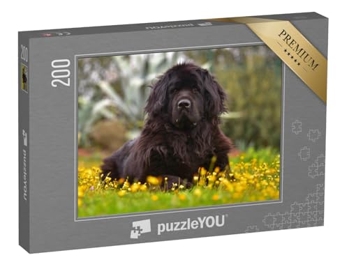 puzzleYOU: Puzzle 200 Teile „Wunderschöner Neufundländer“ – aus der Puzzle-Kollektion Hunde, Neufundländer von puzzleYOU