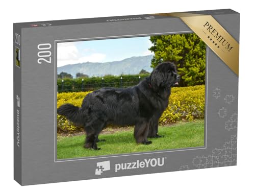 puzzleYOU: Puzzle 200 Teile „Wunderschöner schwarzer Neufundländer“ – aus der Puzzle-Kollektion Hunde, Neufundländer von puzzleYOU