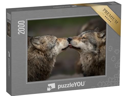 puzzleYOU: Puzzle 2000 Teile „Vertrauen unter Wölfen“ – aus der Puzzle-Kollektion Wölfe, Raubtiere, Tiere des Nordens, Tiere in Wald & Gebirge, Exotische Tiere & Trend-Tiere von puzzleYOU