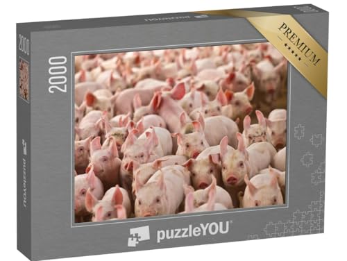 puzzleYOU: Puzzle 2000 Teile „Viele kleine Ferkelchen“ – aus der Puzzle-Kollektion Schweine & Ferkel puzzleYOU: Puzzle 2000 Teile „Viele kleine Ferkelchen“ – aus der Puzzle-Kollektion Schweine & Ferkel von puzzleYOU