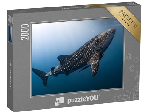 puzzleYOU: Puzzle 2000 Teile „Walhai in Papua“ – aus der Puzzle-Kollektion Haie, Raubtiere, Fische & Wassertiere von puzzleYOU