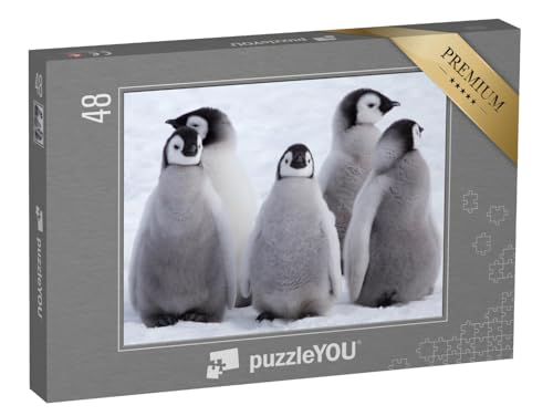 puzzleYOU: Puzzle 48 Teile „Kaiserpinguinküken in der Antarktis“ – aus der Puzzle-Kollektion Tiere, Pinguine, Exotische Tiere & Trend-Tiere von puzzleYOU