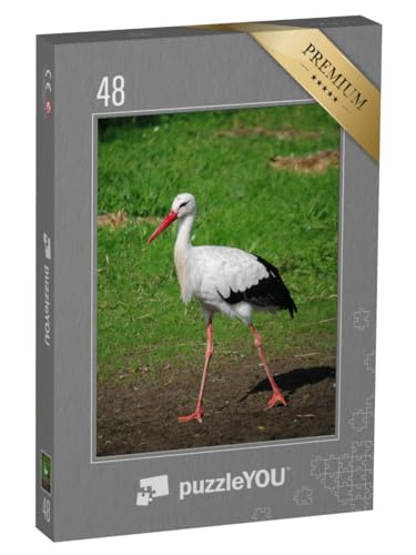 puzzleYOU: Puzzle 48 Teile „Kleiner Storch stolziert durch den Garten“ – aus der Puzzle-Kollektion Störche puzzleYOU: Puzzle 48 Teile „Kleiner Storch stolziert durch den Garten“ – aus der Puzzle-Kollektion Störche von puzzleYOU