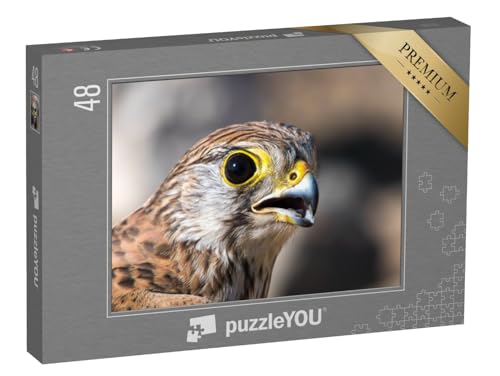 puzzleYOU: Puzzle 48 Teile „Portrait eines Turmfalken“ – aus der Puzzle-Kollektion Vögel, Falken von puzzleYOU