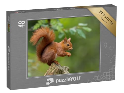 puzzleYOU: Puzzle 48 Teile „Rotes Eichhörnchen“ – aus der Puzzle-Kollektion Eichhörnchen, Tiere in Wald & Gebirge von puzzleYOU