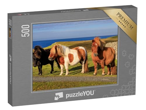 puzzleYOU: Puzzle 500 Teile „DREI Shetlandponys an der Küste Schottlands“ – aus der Puzzle-Kollektion Pferde, Shetlandpony von puzzleYOU