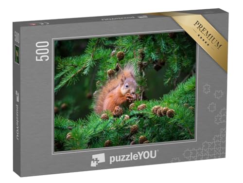 puzzleYOU: Puzzle 500 Teile „Das kleine Eichhörnchen schlemmt hoch Oben im Baum“ – aus der Puzzle-Kollektion Eichhörnchen, Tiere in Wald & Gebirge von puzzleYOU