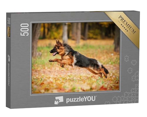 puzzleYOU: Puzzle 500 Teile „Deutscher Schäferhund beim Spielen im Herbst, im Sprung, Blick nach Links“ – aus der Puzzle-Kollektion Schäferhunde von puzzleYOU