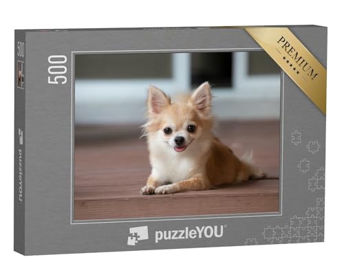 puzzleYOU: Puzzle 500 Teile „EIN Chihuahua sitzt auf dem Boden“ – aus der Puzzle-Kollektion Hunde, Chihuahua von puzzleYOU