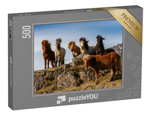 puzzleYOU: Puzzle 500 Teile „Eine Herde von Island-Pferden im rauhen Wind“ – aus der Puzzle-Kollektion Pferde, Islandpferde von puzzleYOU