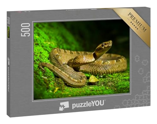 puzzleYOU: Puzzle 500 Teile „Giftige Schlange, Malayische Mokassin-Grubenotter“ von puzzleYOU