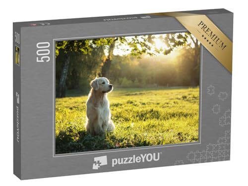 puzzleYOU: Puzzle 500 Teile „Golden Retriever im sommerlichen Abendlicht“ – aus der Puzzle-Kollektion Hunde, Golden Retriever von puzzleYOU