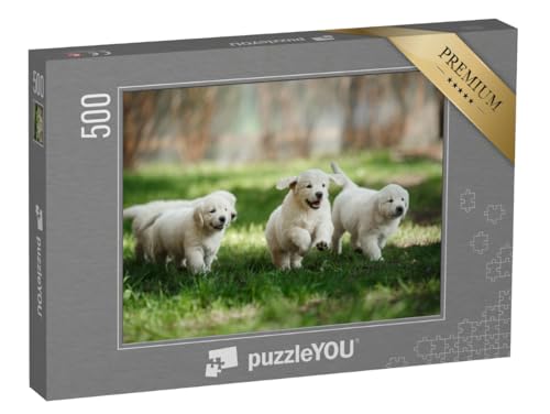 puzzleYOU: Puzzle 500 Teile „Kleine Golden-Retriever-Welpen, die im Sommer im Park herumlaufen und Spielen“ – aus der Puzzle-Kollektion Welpen puzzleYOU: Puzzle 500 Teile „Kleine Golden-Retriever-Welpen, die im Sommer im Park herumlaufen und Spielen“ – aus der Puzzle-Kollektion Welpen von puzzleYOU