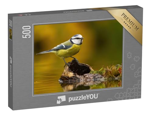 puzzleYOU: Puzzle 500 Teile „Kleine eurasische Blaumeise, cyanistes caeruleus, sitzend auf Holz im Teich“ – aus der Puzzle-Kollektion Vögel von puzzleYOU