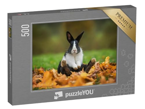 puzzleYOU: Puzzle 500 Teile „Kleines lustiges Kaninchen sitzt im Herbstlaub“ – aus der Puzzle-Kollektion Kaninchen, Bauernhof-Tiere puzzleYOU: Puzzle 500 Teile „Kleines lustiges Kaninchen sitzt im Herbstlaub“ – aus der Puzzle-Kollektion Kaninchen, Bauernhof-Tiere von puzzleYOU