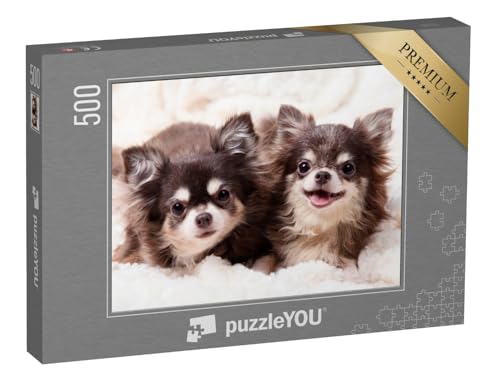 puzzleYOU: Puzzle 500 Teile „Niedliche Chihuahua-Hunde auf Einer Decke“ – aus der Puzzle-Kollektion Chihuahua von puzzleYOU