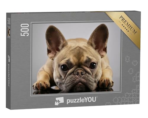 puzzleYOU: Puzzle 500 Teile „Porträt Einer liebenswerten französischen Bulldogge“ – aus der Puzzle-Kollektion Buldogge von puzzleYOU