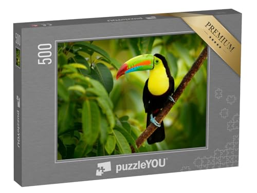 puzzleYOU: Puzzle 500 Teile „Tukan auf Costa Rica“ – aus der Puzzle-Kollektion Costa Rica von puzzleYOU