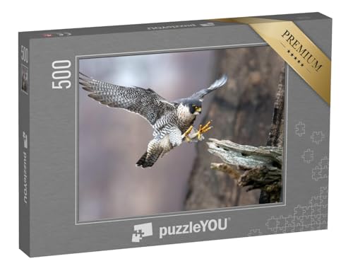 puzzleYOU: Puzzle 500 Teile „Wanderfalke im perfekten Landeanflug“ – aus der Puzzle-Kollektion Vögel, Falken von puzzleYOU