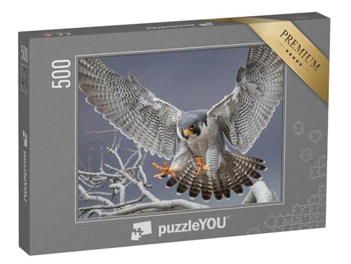 puzzleYOU: Puzzle 500 Teile „Wanderfalke in New Jersey“ – aus der Puzzle-Kollektion Vögel, Falken von puzzleYOU