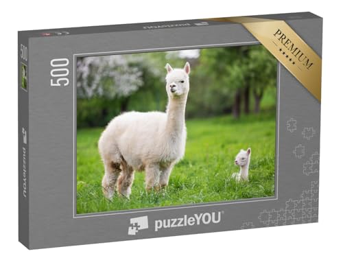 puzzleYOU: Puzzle 500 Teile „Weißes Alpaka mit Nachkommen, südamerikanisches Säugetier“ – aus der Puzzle-Kollektion Alpakas, Exotische Tiere & Trend-Tiere von puzzleYOU