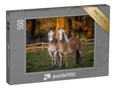 puzzleYOU: Puzzle 500 Teile „Zwei Pferde auf Einer hebstlichen Wiese“ – aus der Puzzle-Kollektion Pferde, Haflinger Pferde von puzzleYOU