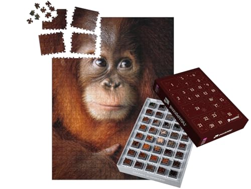 puzzleYOU: Puzzle-Adventskalender | „Baby Orang-Utan, Gesicht als Nahaufnahme“ – aus der Puzzle-Kollektion Orang-Utan, Tiere in Dschungel & Regenwald von puzzleYOU