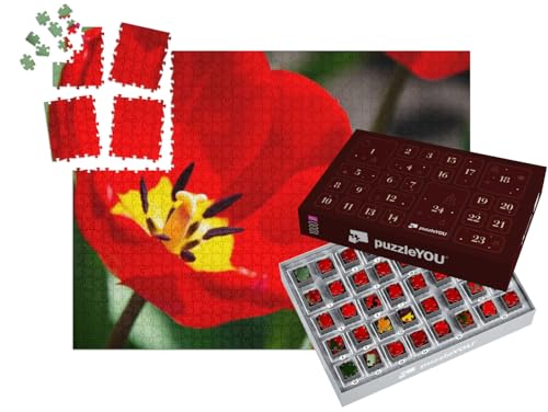 puzzleYOU: Puzzle-Adventskalender | „Details der inneren Tulpenblüte mit Stempel und Staubgefäßen, Tulpe Nahaufnahme“ – aus der Puzzle-Kollektion Blüten, Blumen & Pflanzen von puzzleYOU