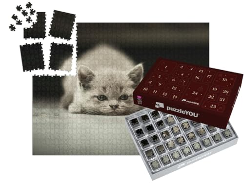 puzzleYOU: Puzzle-Adventskalender | „Eine kleine Katze“ – aus der Puzzle-Kollektion Katzen-Puzzles puzzleYOU: Puzzle-Adventskalender | „Eine kleine Katze“ – aus der Puzzle-Kollektion Katzen-Puzzles von puzzleYOU